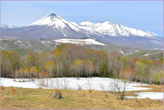 八甲田山初化粧 1