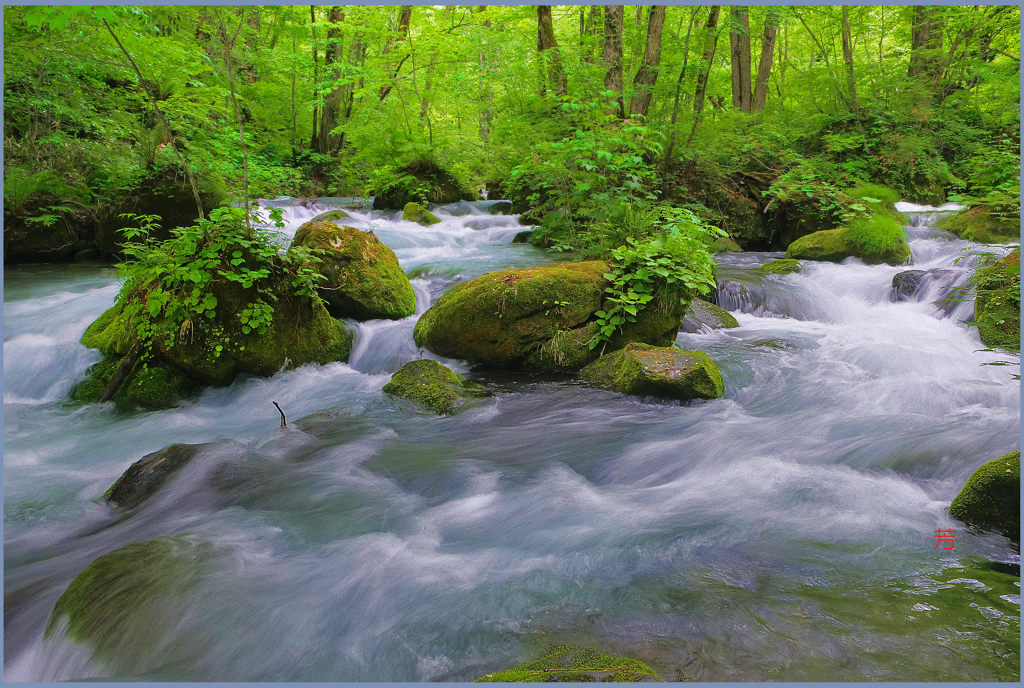 2024「上阿修羅の流れ」