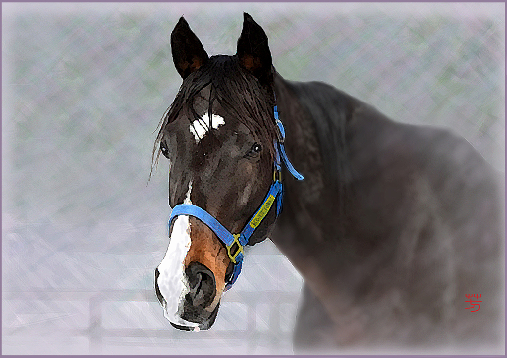 ＠　クイーンの肖像　Ⅱ