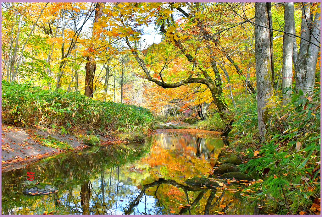 奥入瀬.秋衣装鏡