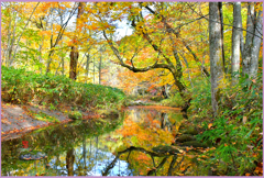 奥入瀬.秋衣装鏡