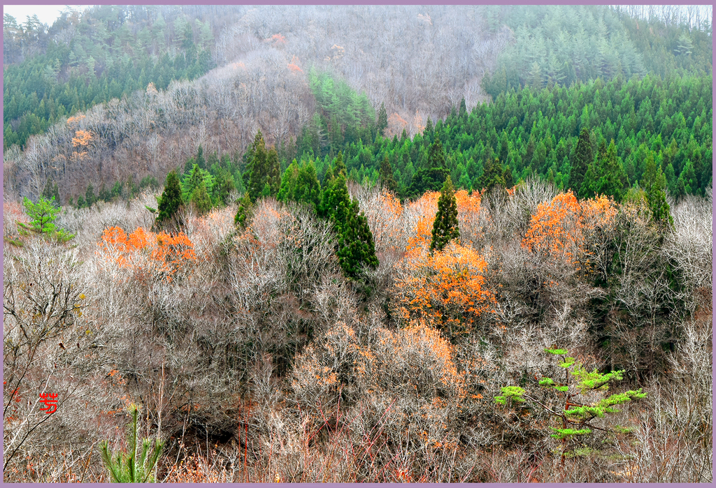北東北　最晩歌 Ⅲ