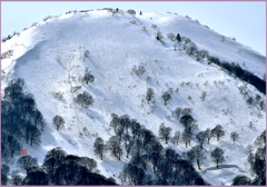 八甲田山.雛岳「春スキースロープ」