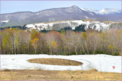 八甲田山初化粧 2