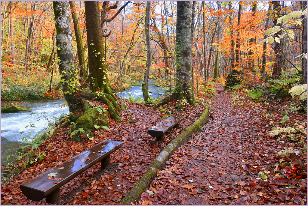 奥入瀬遊歩道