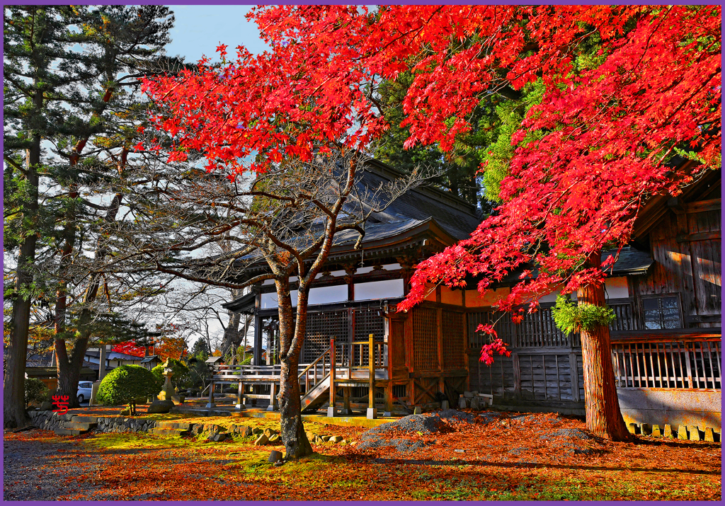 「もみじ照る」