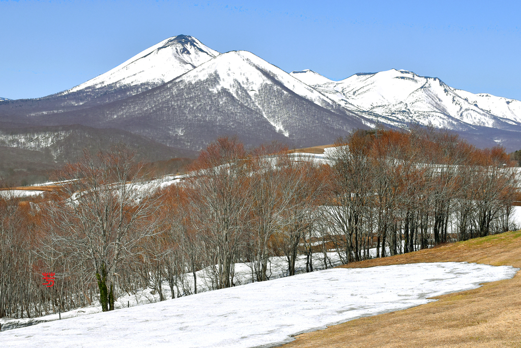 北八甲田残雪　3