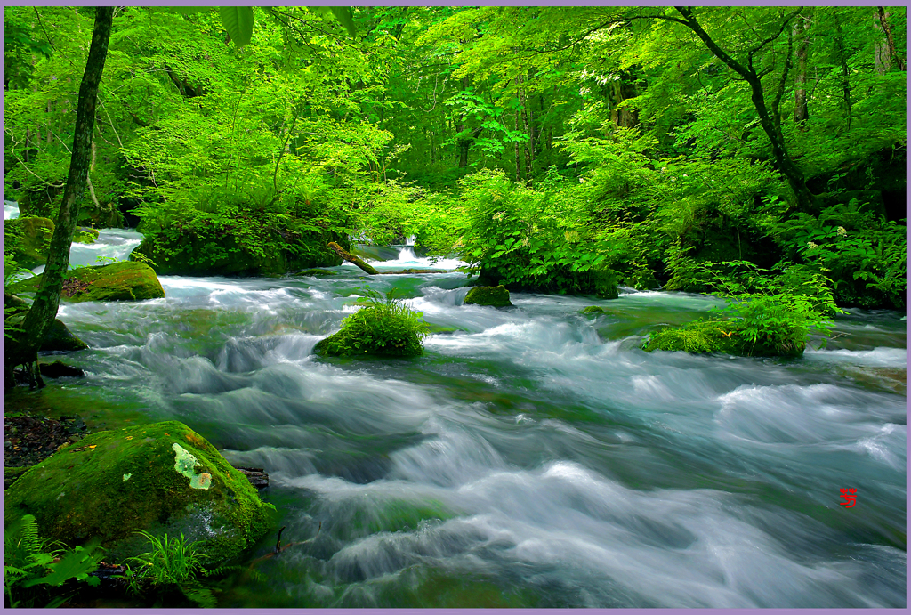 奥入瀬.万緑の清流　