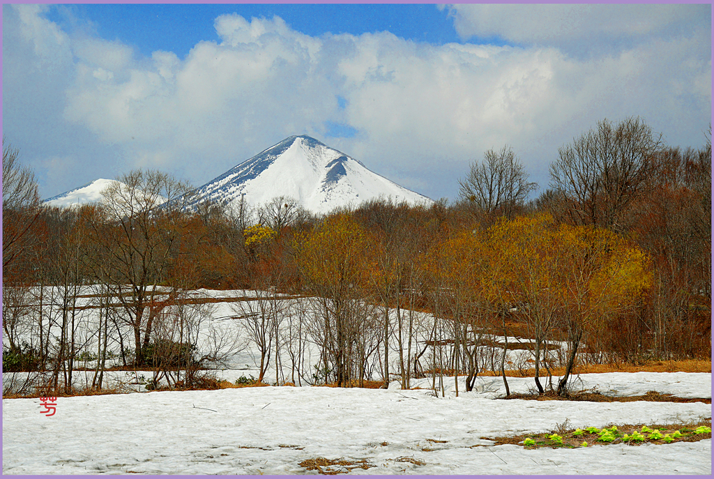 春陽の八甲田山
