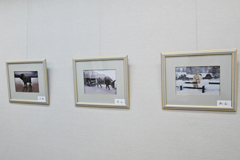 第６５回白石芳春写真展