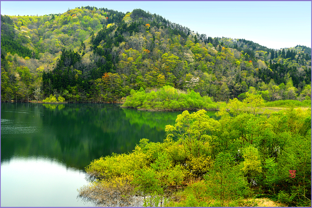 山里.若葉萌ゆる　4