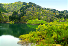 山里.若葉萌ゆる　4