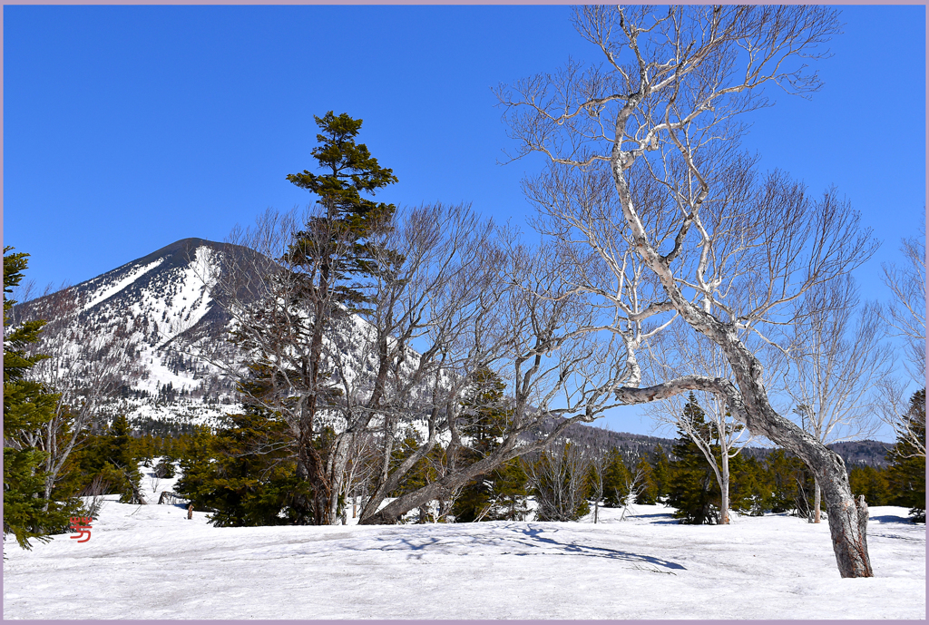 八甲田山高田大岳　3