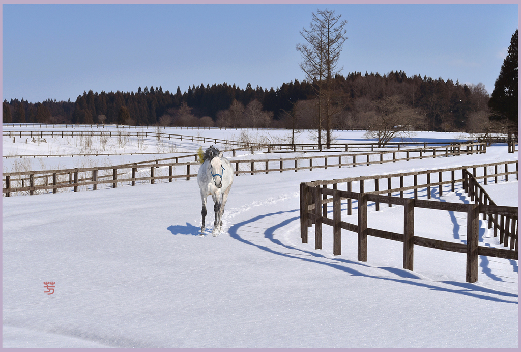 「2019　第4コーナー」