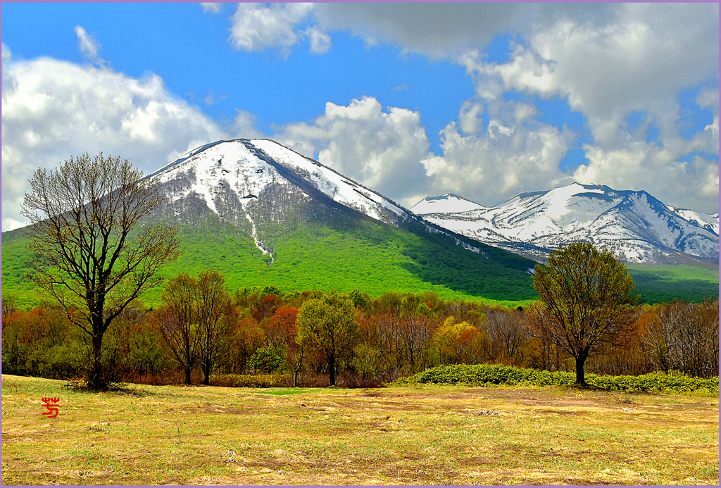 　雛岳.春紅葉 Ⅲ