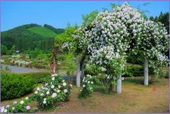 「登竜門」