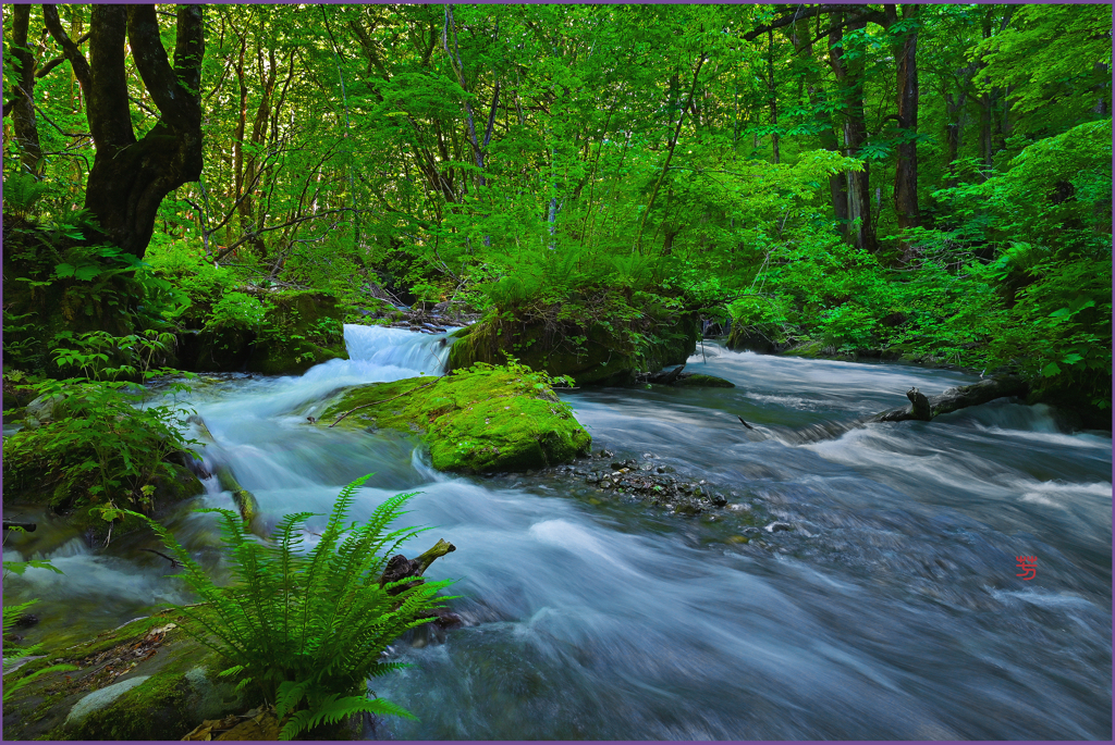 「奥瀬清流」