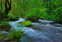 「奥瀬清流」