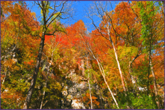 「奥入瀬岩回廊」