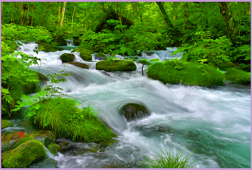 ＠奥入瀬.真夏の清流