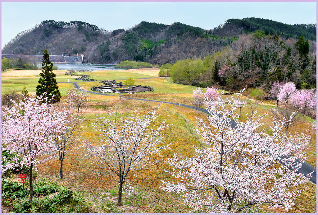 ストーンサークルの春　