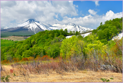 「2019　八甲田.若葉萌え」
