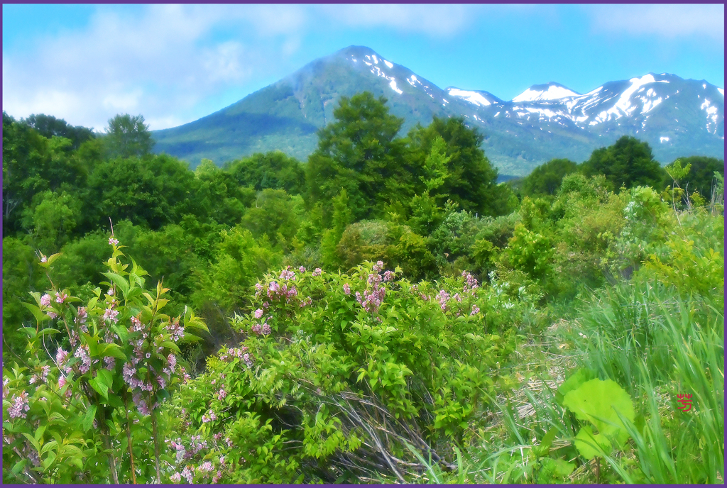 「初夏.残雪遠望」