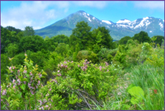 「初夏.残雪遠望」