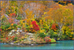 八甲田山紅葉「地獄沼」Ⅱ