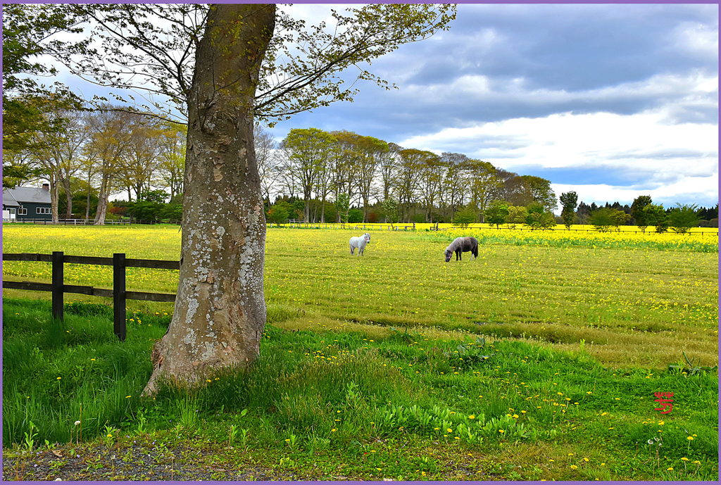 ある　まきばにて　