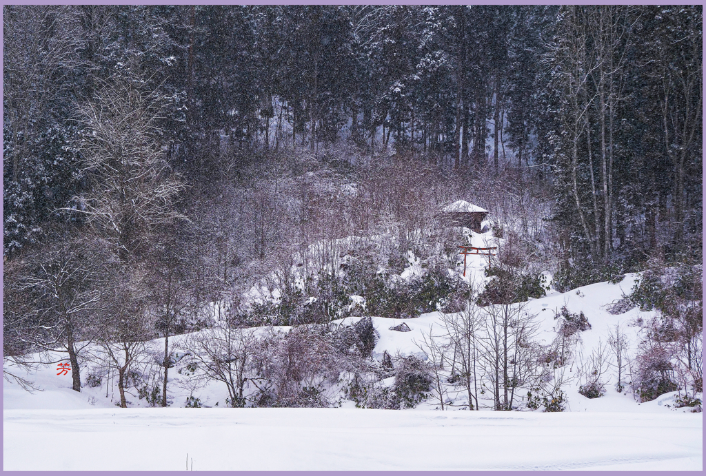 「粉雪」