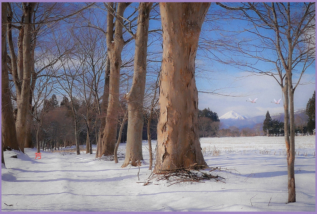「行く年　来る鳥」
