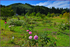 「東八甲田ローズカントリー2」