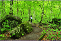 女性カメラマン