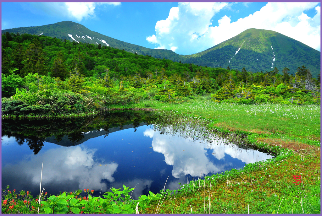 八甲田 山「睡蓮沼」