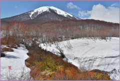 八甲田山「残雪.雛岳　5」