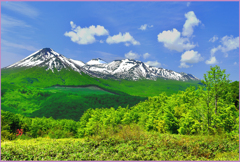 八甲田山「残雪と若葉」