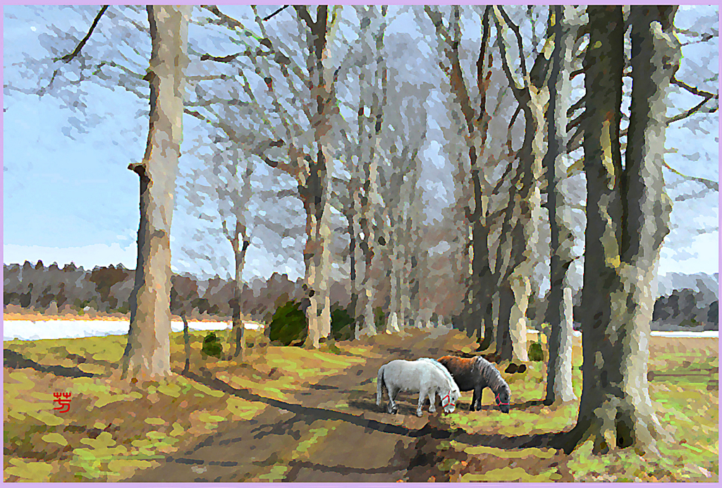 「2019　まきば春陽」