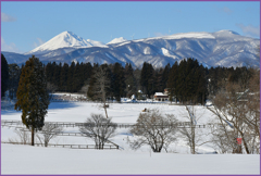 ＠＠＠＠＠まきば早春