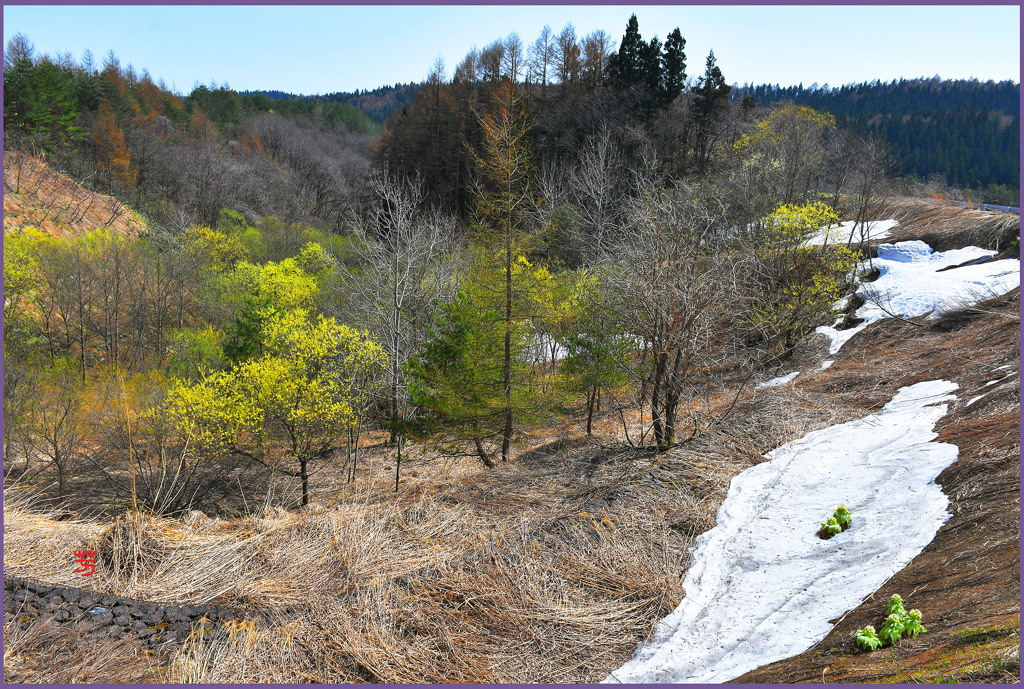 「山里.春賛歌」