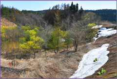 「山里.春賛歌」