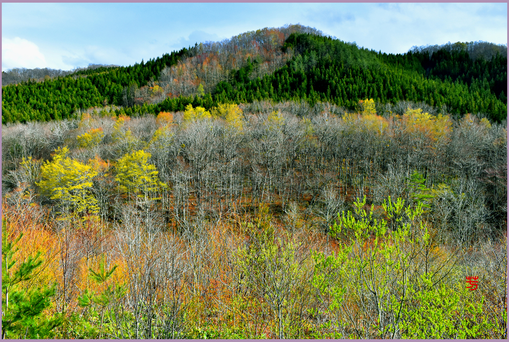 北国の春「春　宴」