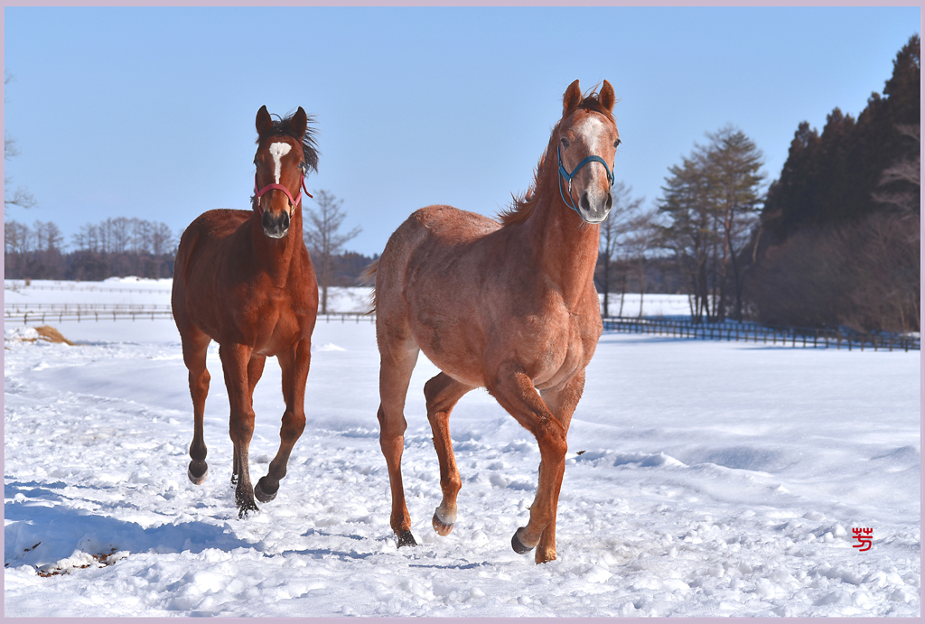 「2019　朝トレーニング」