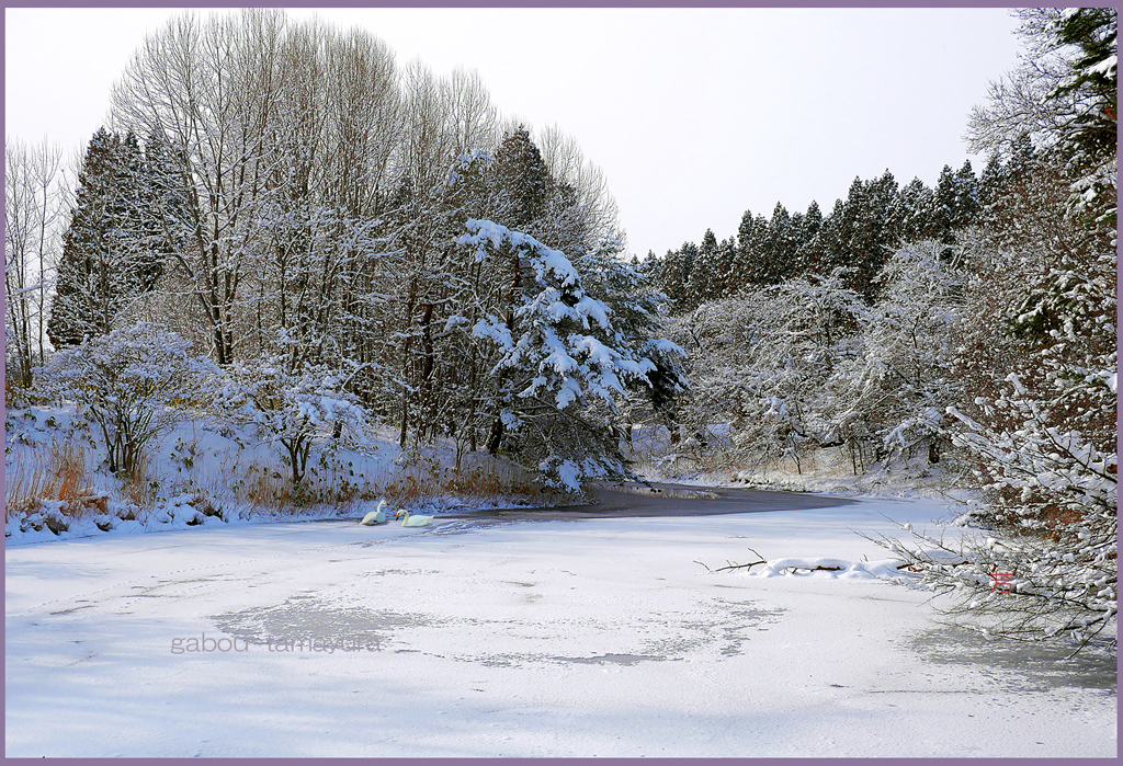 「雪晴れの朝Ⅰ」