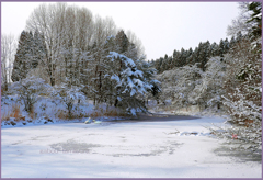 「雪晴れの朝Ⅰ」