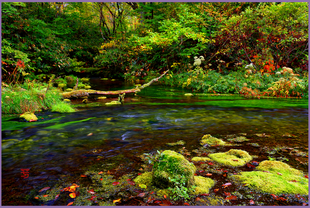 八甲田山「グダリ沼」