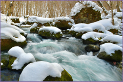 「本石ヶ戸の流れ」