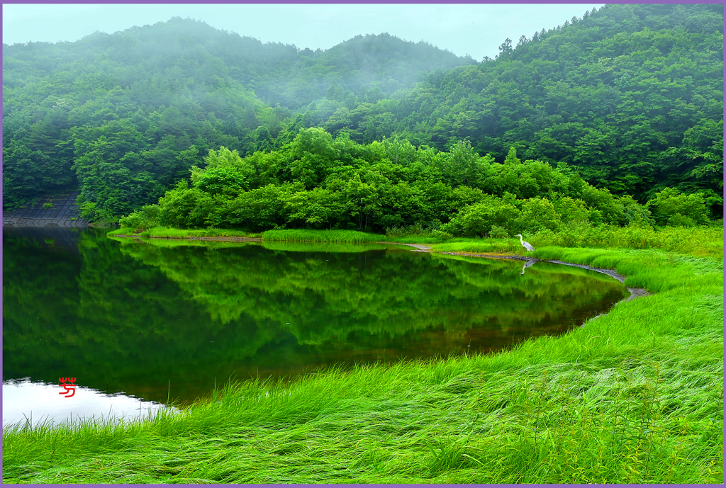ダム湖の朝