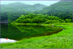 ダム湖の朝
