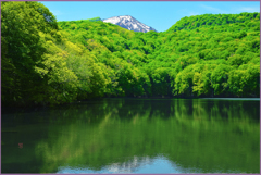 「残雪と緑映」